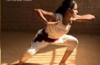 Năm Kỷ Hợi nói chuyện võ Heo