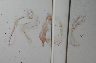 Tạo dòng chữ bằng máu ở hiện trường để đánh lừa cảnh sát