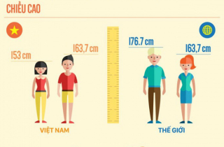 Người Việt Nam 10 năm chỉ cao thêm một cm