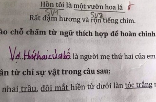 Giáo viên “đứng hình” vì bài tập điền từ vào chỗ trống của học sinh tiểu học