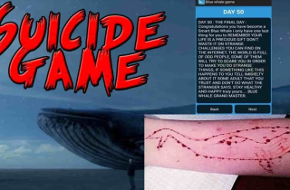 Thực hư về trò chơi “Cá voi Xanh” chết chóc