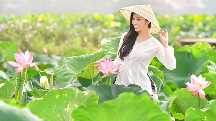 Hình ảnh thiếu nữ Hà thành nô nức chụp ảnh khoe sắc mùa sen nở
