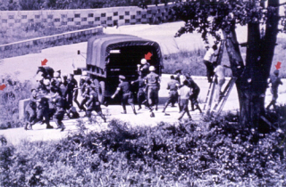 Cây bạch dương thổi bùng xung đột Mỹ - Triều cách đây 40 năm