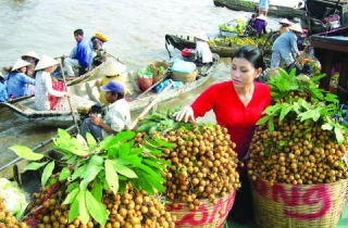 Cảnh báo đỏ hàng Việt bị Mỹ trả về: Làm ẩu quá!