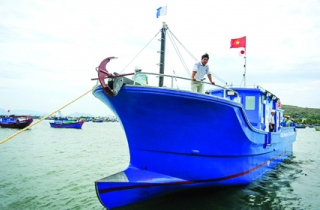 Phải xử lý nghiêm các cơ sở đóng tàu gian dối