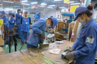 Phải tìm hiểu các điều kiện kinh doanh trước khi gia nhập thị trường