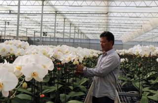 Nông nghiệp công nghệ cao là tất yếu