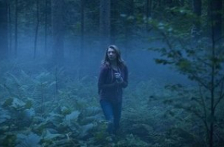 Vén màn bí mật \'khu rừng tự sát\' ở Nhật Bản