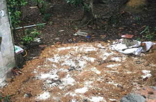 Người dân ở Hà Nội phản đối việc chôn 6 tấn lợn dịch trong vườn