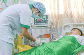 Chàng trai bị ong đốt thoát chết nhờ được sơ cứu kịp thời