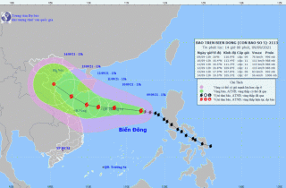 Các nước đưa ra dự báo khác nhau về bão Conson