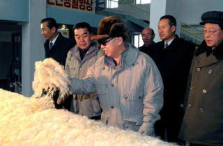 Triều Tiên sản xuất vải từ… đá