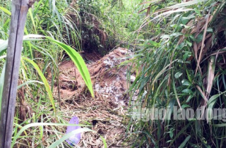 Chôn heo bệnh gần khu dân cư vì... thiếu quỹ đất!