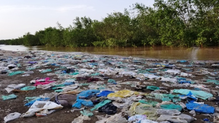 Rác thải phủ kín rừng ngập mặn ven biển Hải Phòng