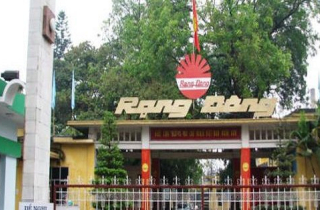 Nhà đầu tư bán tháo cổ phiếu Rạng Đông sau sự cố cháy lớn