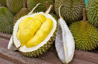 Phi công hạ cánh khẩn vì mùi sầu riêng