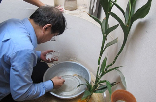 Ổ bọ gậy tăng trở lại tại nhiều điểm nóng sốt xuất huyết Hà Nội