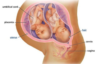 \'Chuyện ấy\' khi mang thai