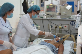 Người đàn ông nguy kịch vì bị cả đàn ong vò vẽ tấn công