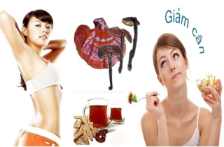Cẩn trọng khi uống nấm giảm cân