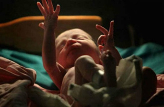 Bé sơ sinh sống lại chỉ vài phút trước khi hỏa táng