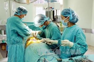 Hai ca ghép thận không cùng huyết thống thành công tại Bệnh viện Xanh Pôn