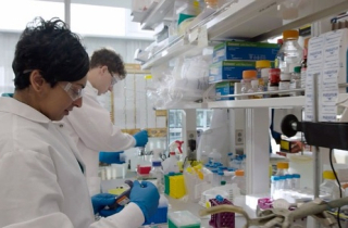 Nỗ lực phá bỏ \