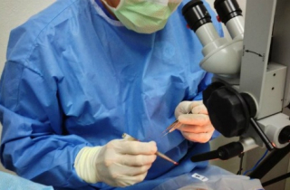 Tám trẻ nhìn mờ sau mổ mắt do \'biến chứng ngẫu nhiên\'