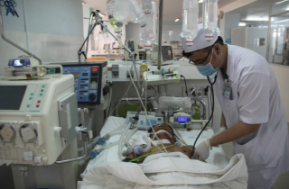 Người đàn ông bị hôn mê sâu vì 1 nốt ong đốt