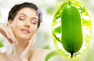 Làm trắng da toàn thân với công thức từ quả bí đao