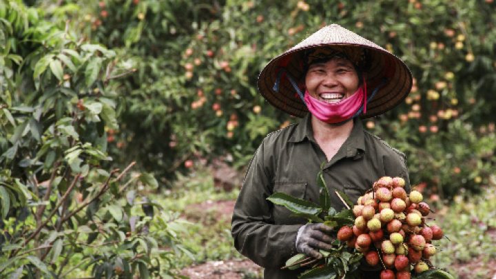Bộ Khoa học hỗ trợ Bắc Giang thực hiện 21 đề tài