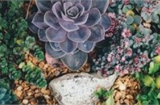 Tử vi 12 cung hoàng đạo ngày 9/8