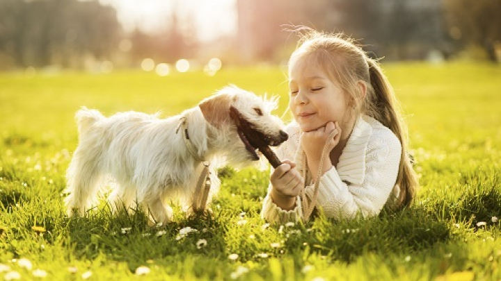 Năm lợi ích khi cho trẻ nuôi thú cưng