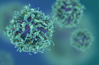 Nhóm khoa học Israel tuyên bố chữa được ung thư trong một năm nữa