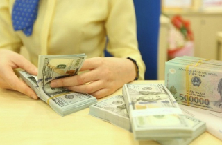 Tiền Việt Nam bỗng xuất hiện 