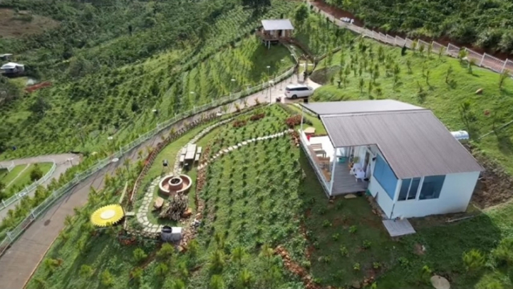 Khi người nổi tiếng đi đêm với 