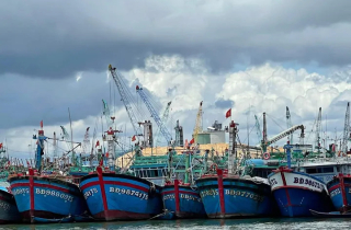 Bình Định: Dầu tăng giá, tàu cá nằm buồn
