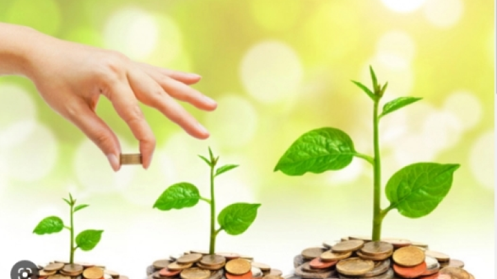 Chuyên gia chỉ cách xuống tiền đầu tư trong năm 2023