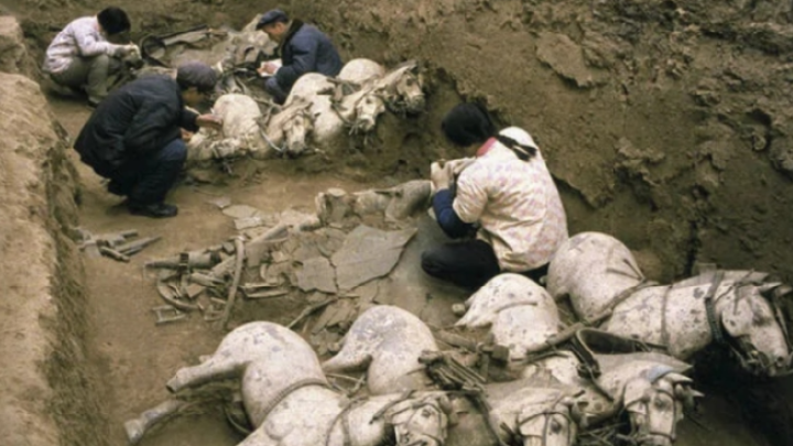 Những bộ xương kỳ lạ trong lăng Tần Thủy Hoàng: Loài vật cũng bị tuẫn táng