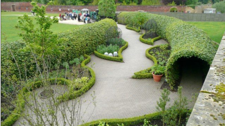 Có gì bên trong khu vườn chỉ cần chạm vào 1 chiếc lá cũng có thể chết người?