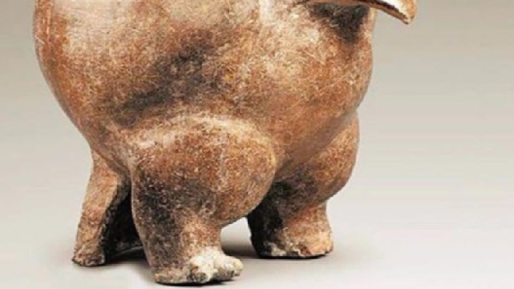 Ông lão nhặt được hũ gốm, mang về 'làm chậu cho gà ăn', ai ngờ là bảo vật vô giá