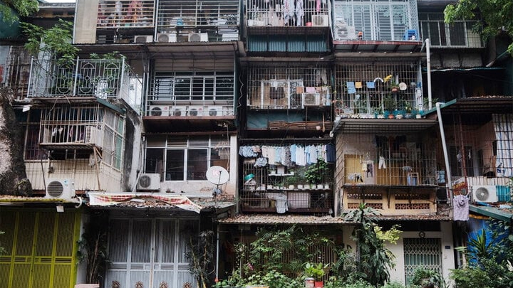 Hàn thêm 'chuồng cọp' - sợ bị trộm hơn sợ chết