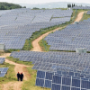 Tăng trưởng năng lượng mặt trời Trung Quốc chậm lại vì lưới điện không theo kịp