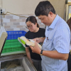 Du khách bị ngộ độc thực phẩm nghi do ăn hải sản tại Phan Thiết
