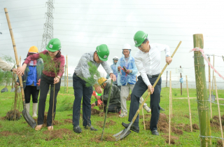 Petrovietnam: Trồng cây xanh là giải pháp quan trọng trong chuyển dịch năng lượng