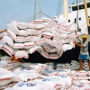 Giá gạo Việt Nam xuất khẩu tiến gần mốc 1.000 USD