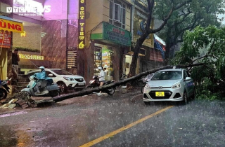 Chuyên gia: Yagi là siêu bão cường độ mạnh nhất trong 30 năm nay trên Biển Đông