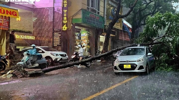 Chuyên gia: Yagi là siêu bão cường độ mạnh nhất trong 30 năm nay trên Biển Đông