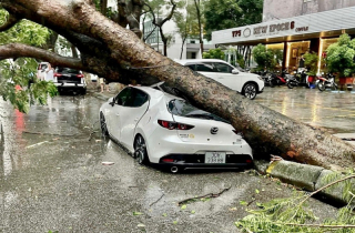 Hà Nội: Hoàn lưu trước bão khiến 7 người thương vong, hơn 400 cây xanh gãy, đổ