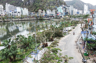 Đảo ngọc Cát Bà tan hoang sau bão